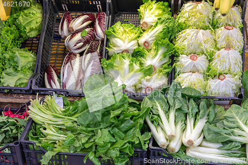 Image of Fresh Saladas Market