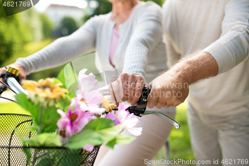 Image of senior couple with bicycles at summer park