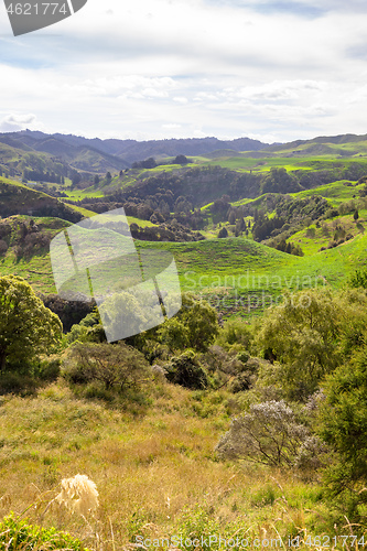 Image of typical rural landscape in New Zealand