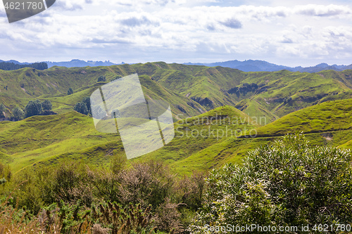 Image of typical rural landscape in New Zealand