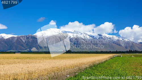 Image of Mount Taylor and Mount Hutt scenery in south New Zealand