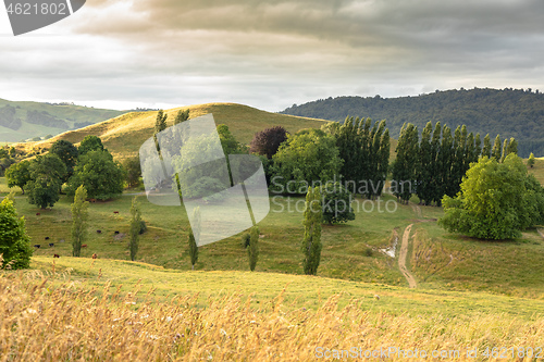 Image of typical rural landscape in New Zealand