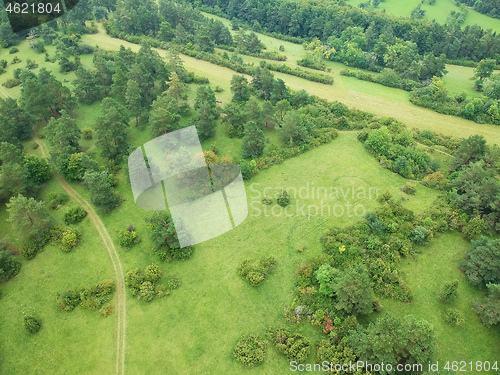 Image of aerial view trees