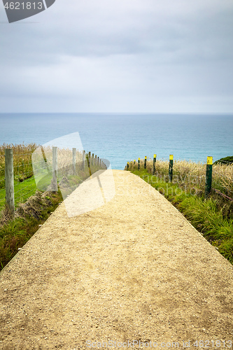 Image of Path to Tunnel Beach New Zealand
