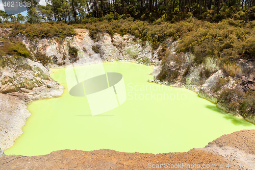 Image of geothermal activity at Rotorua in New Zealand