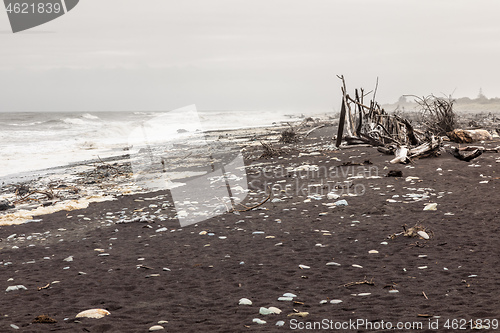 Image of jade beach Hokitika, New Zealand