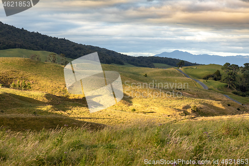 Image of typical rural landscape in New Zealand