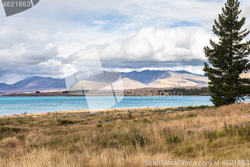 Image of Lake Tekapo New Zealand