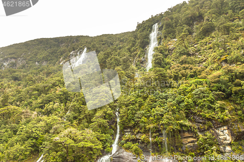 Image of Fiordland National Park New Zealand