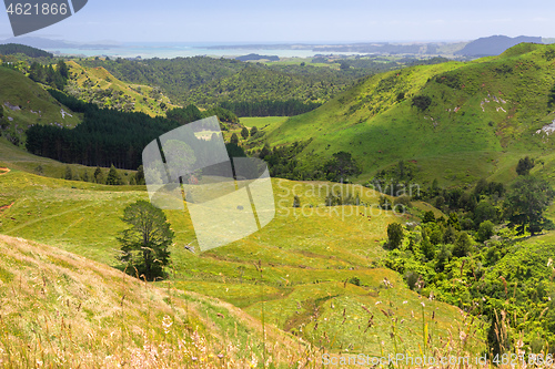 Image of landscape Matamata