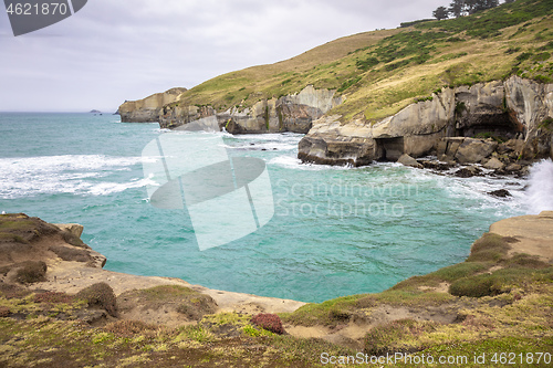 Image of Tunnel Beach New Zealand