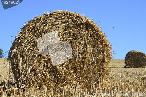 Image of  straw roll 