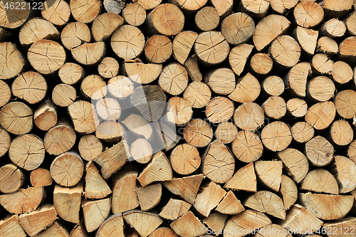 Image of Firewood pile stacked chopped wood trunks