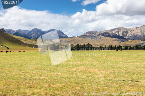 Image of Landscape scenery in south New Zealand