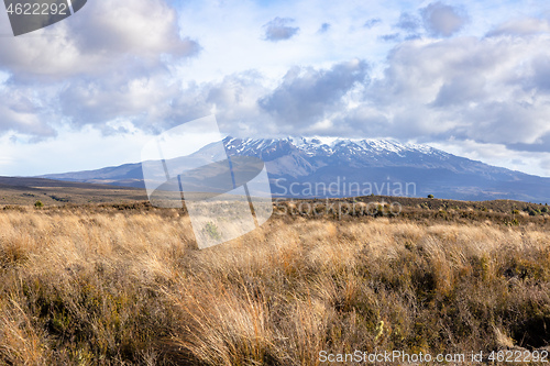 Image of Mount Ruapehu volcano in New Zealand