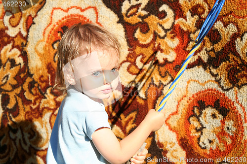 Image of Cleaning carpet