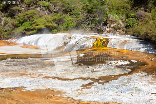 Image of volcanic activities at waimangu