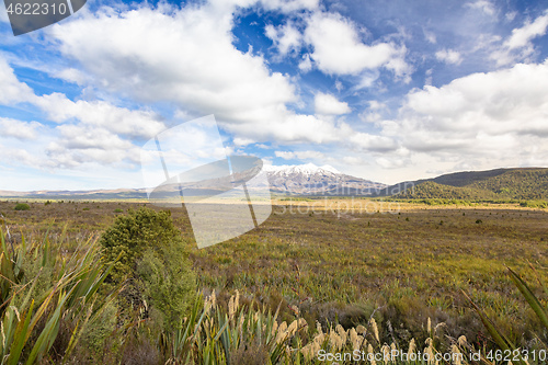 Image of Mount Ruapehu volcano in New Zealand