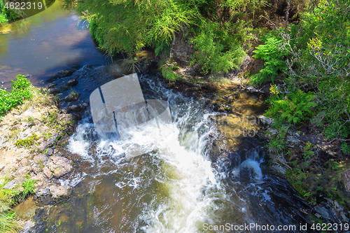 Image of small river with green plants New Zealand