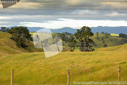 Image of typical rural landscape in New Zealand