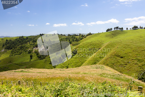 Image of landscape Matamata