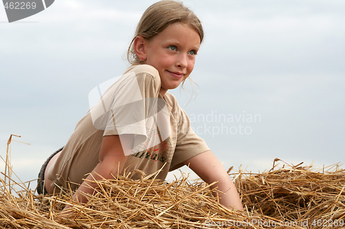 Image of After harvest