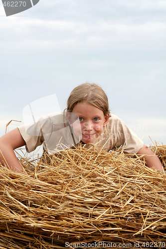 Image of After harvest