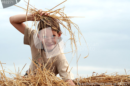 Image of After harvest