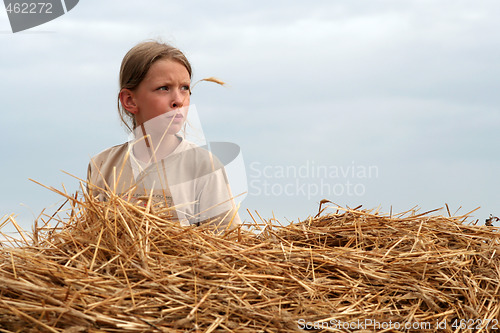 Image of After harvest