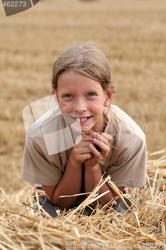 Image of After harvest