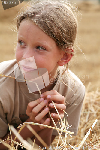 Image of After harvest