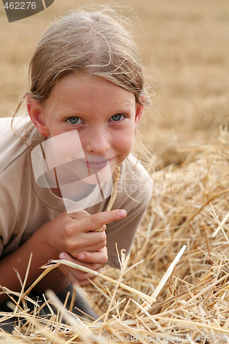 Image of After harvest