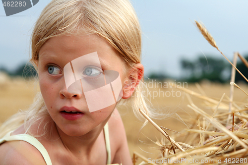Image of After harvest