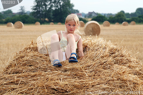 Image of After harvest