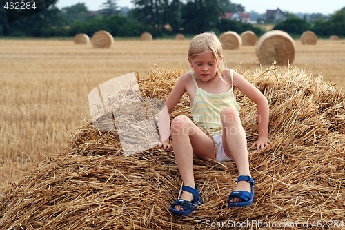 Image of After harvest