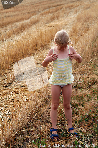 Image of After harvest