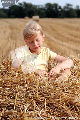 Image of After harvest