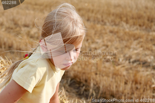 Image of After harvest