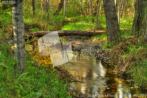 Image of Creek