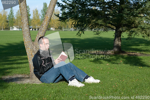 Image of Man Reading By A Tree