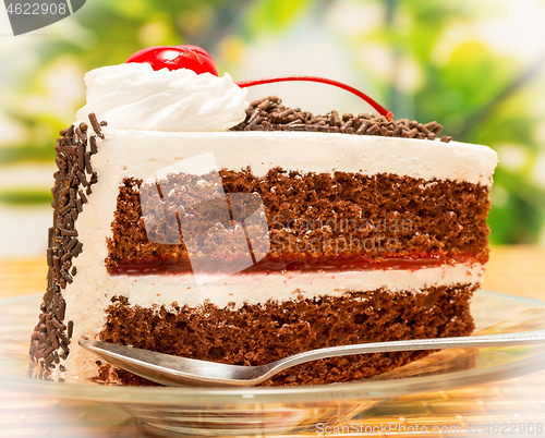 Image of Black Forest Gateau Indicates Chocolate Cake And Appetizing 