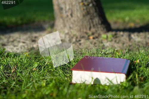 Image of Holy Bible