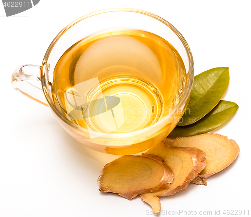 Image of Healthy Ginger Tea Indicates Teacup Fresh And Herbal 