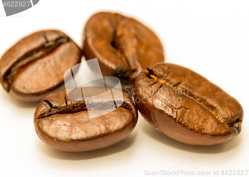 Image of Coffee Beans Fresh Shows Hot Drink And Brown 