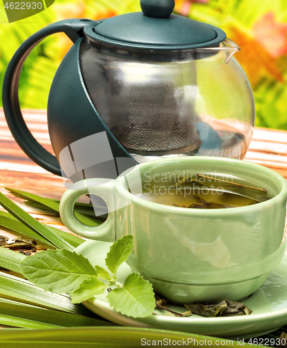 Image of Mint Green Tea Indicates Refreshes Beverage And Spearmint 
