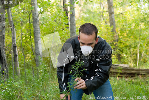 Image of Pollution