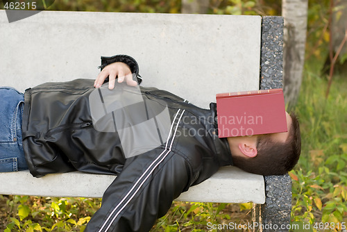 Image of Man Asleep Outside