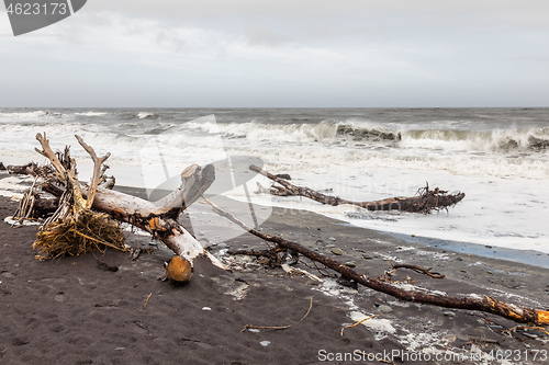 Image of jade beach Hokitika, New Zealand