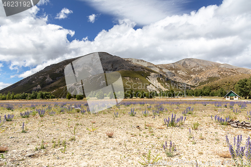 Image of Landscape scenery in south New Zealand