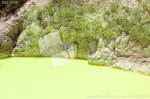 Image of geothermal activity at Rotorua in New Zealand